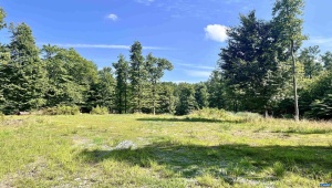 7337-B DICK WOODS RD #40B, AFTON, Virginia 22920, ,Land,For Sale,7337-B DICK WOODS RD #40B,655285 MLS # 655285