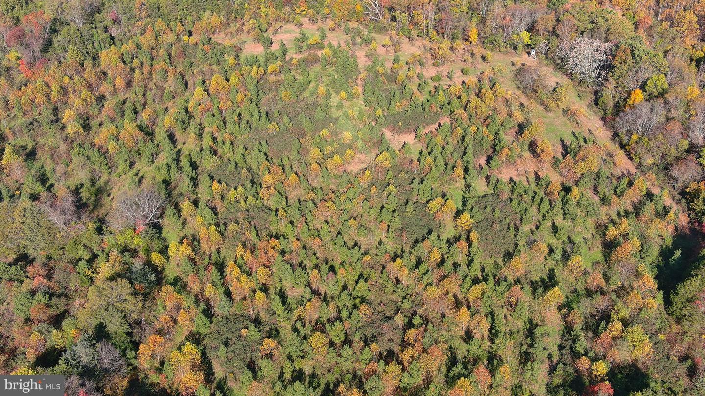 OLD BARBOURSVILLE RD, GORDONSVILLE, Virginia 22942, ,Farm,For Sale,OLD BARBOURSVILLE RD,VAOR2008482 MLS # VAOR2008482