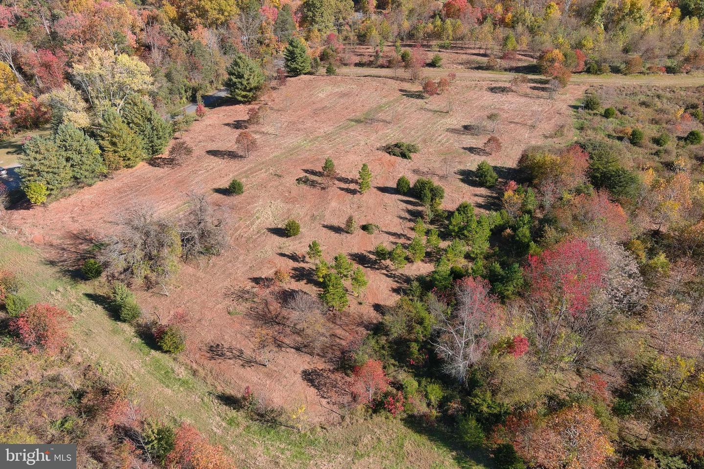 OLD BARBOURSVILLE RD, GORDONSVILLE, Virginia 22942, ,Farm,For Sale,OLD BARBOURSVILLE RD,VAOR2008482 MLS # VAOR2008482