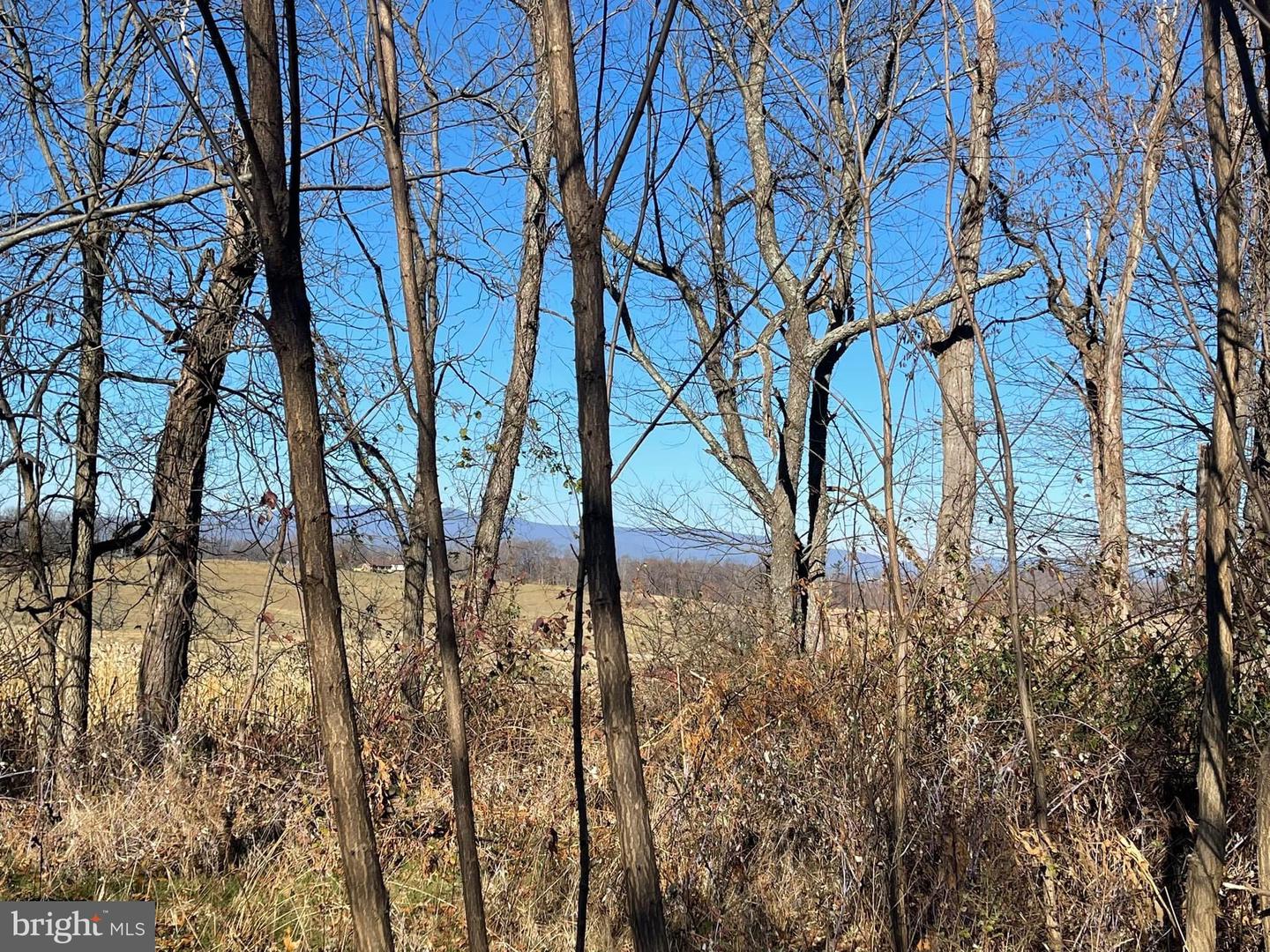 00 CHESTNUT RIDGE RD, STAUNTON, Virginia 24401, ,Land,For Sale,00 CHESTNUT RIDGE RD,VAAG2000440 MLS # VAAG2000440 00 CHESTNUT RIDGE RD, STAUNTON, Virginia 24401, ,Land,For Sale,00 CHESTNUT RIDGE RD,VAAG2000440 MLS # VAAG2000440