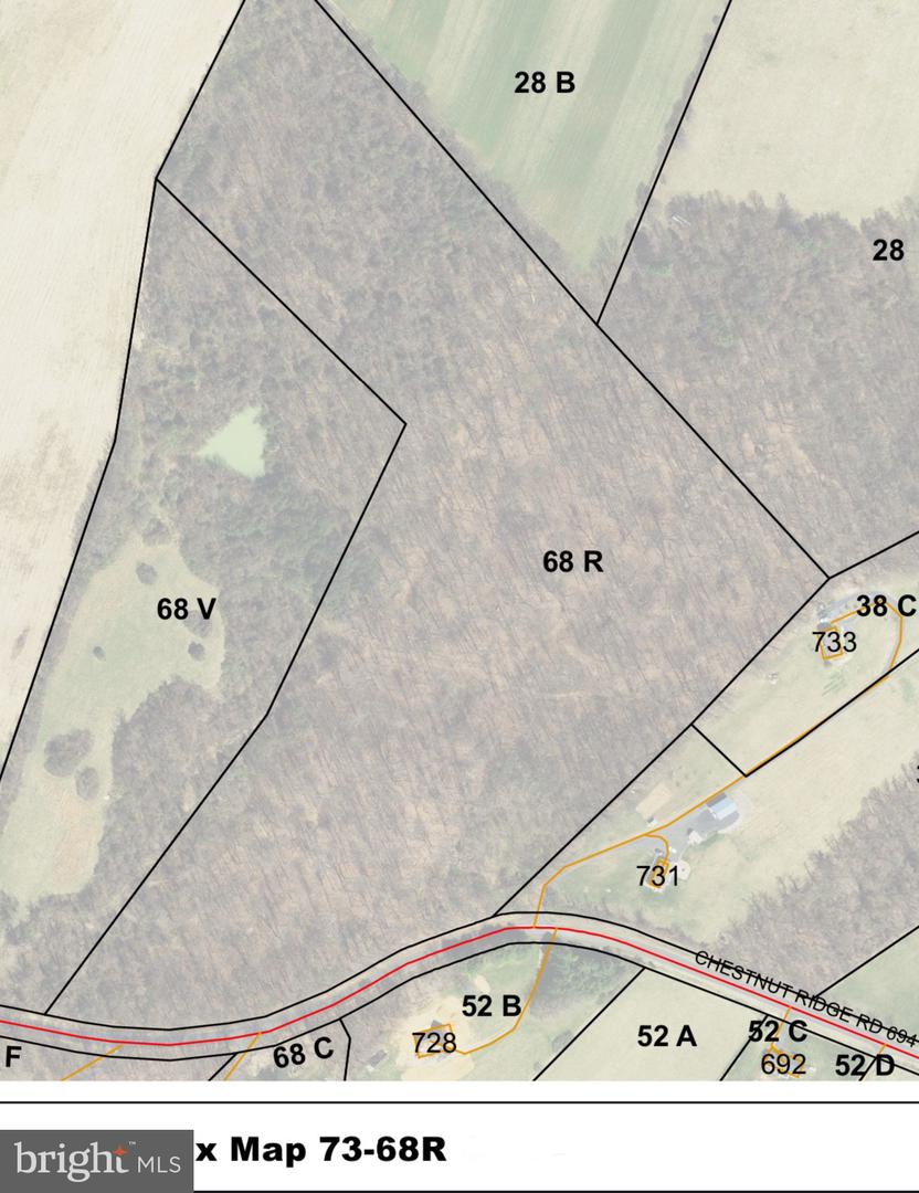 00 CHESTNUT RIDGE RD, STAUNTON, Virginia 24401, ,Land,For Sale,00 CHESTNUT RIDGE RD,VAAG2000440 MLS # VAAG2000440 00 CHESTNUT RIDGE RD, STAUNTON, Virginia 24401, ,Land,For Sale,00 CHESTNUT RIDGE RD,VAAG2000440 MLS # VAAG2000440