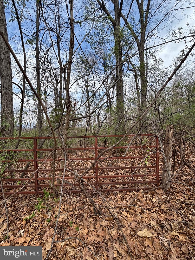 00 CHESTNUT RIDGE RD, STAUNTON, Virginia 24401, ,Land,For Sale,00 CHESTNUT RIDGE RD,VAAG2000440 MLS # VAAG2000440 00 CHESTNUT RIDGE RD, STAUNTON, Virginia 24401, ,Land,For Sale,00 CHESTNUT RIDGE RD,VAAG2000440 MLS # VAAG2000440