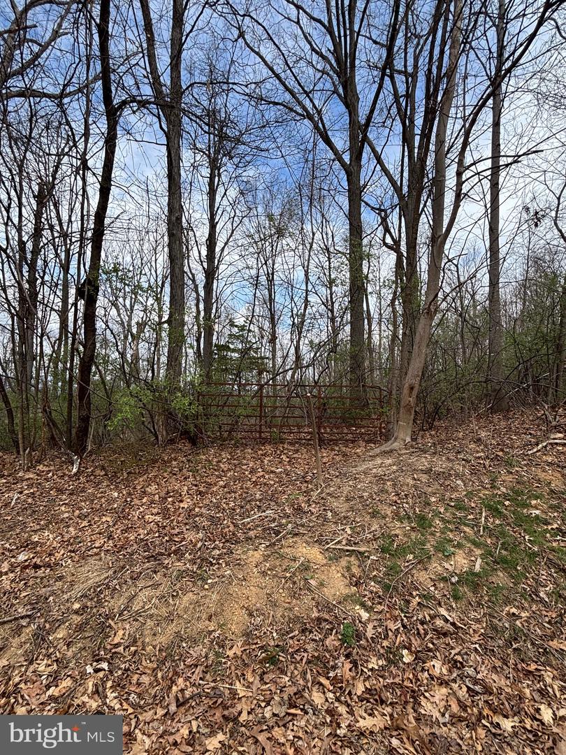 00 CHESTNUT RIDGE RD, STAUNTON, Virginia 24401, ,Land,For Sale,00 CHESTNUT RIDGE RD,VAAG2000440 MLS # VAAG2000440 00 CHESTNUT RIDGE RD, STAUNTON, Virginia 24401, ,Land,For Sale,00 CHESTNUT RIDGE RD,VAAG2000440 MLS # VAAG2000440