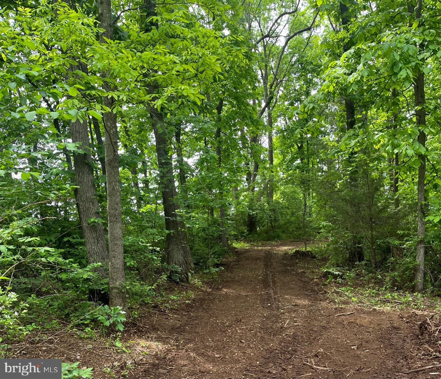 00 CHESTNUT RIDGE RD, STAUNTON, Virginia 24401, ,Land,For Sale,00 CHESTNUT RIDGE RD,VAAG2000440 MLS # VAAG2000440 00 CHESTNUT RIDGE RD, STAUNTON, Virginia 24401, ,Land,For Sale,00 CHESTNUT RIDGE RD,VAAG2000440 MLS # VAAG2000440