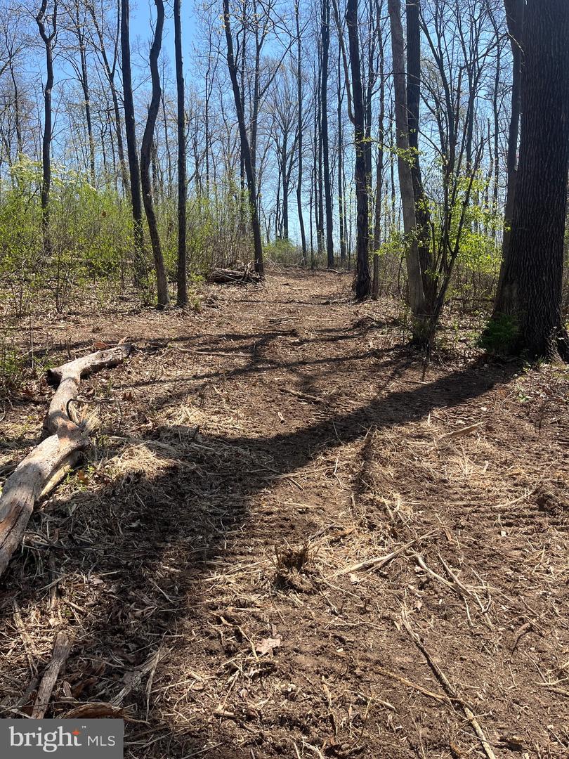 00 CHESTNUT RIDGE RD, STAUNTON, Virginia 24401, ,Land,For Sale,00 CHESTNUT RIDGE RD,VAAG2000440 MLS # VAAG2000440 00 CHESTNUT RIDGE RD, STAUNTON, Virginia 24401, ,Land,For Sale,00 CHESTNUT RIDGE RD,VAAG2000440 MLS # VAAG2000440