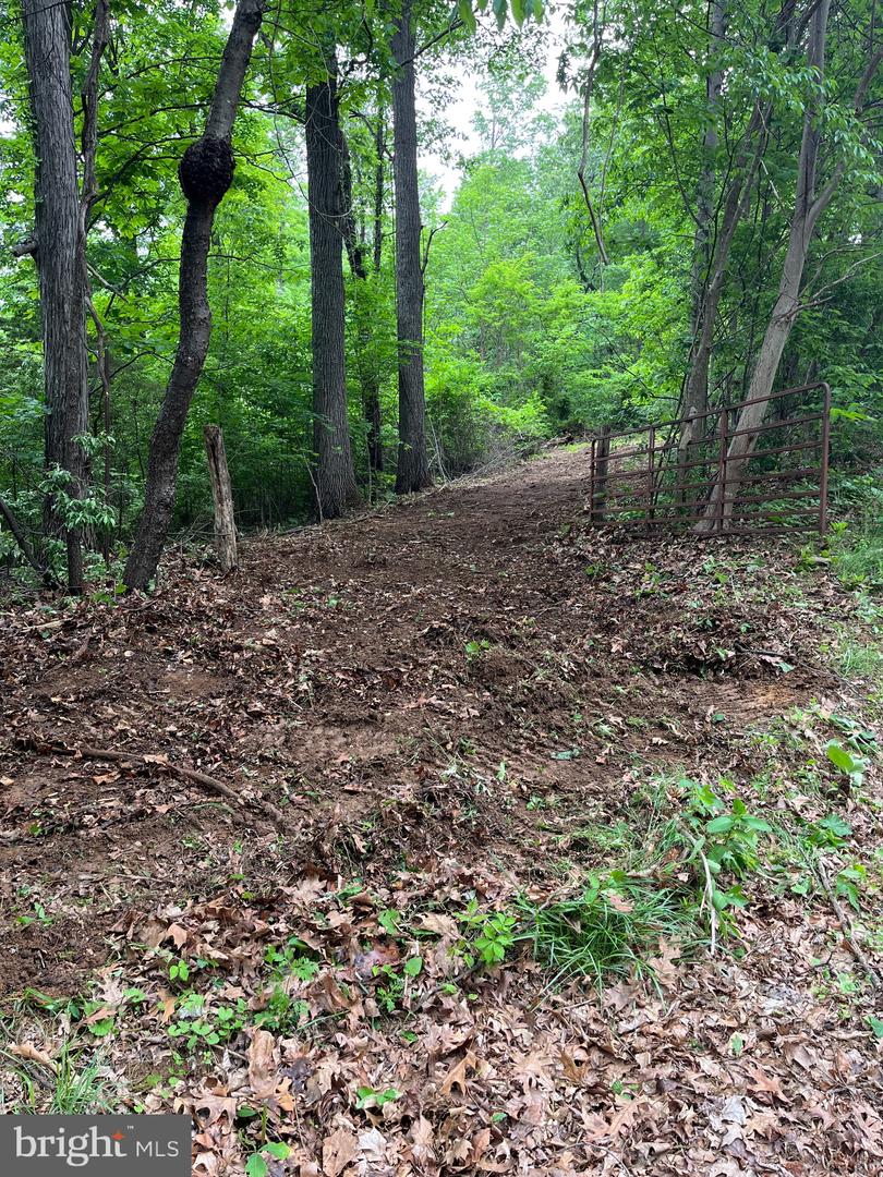 00 CHESTNUT RIDGE RD, STAUNTON, Virginia 24401, ,Land,For Sale,00 CHESTNUT RIDGE RD,VAAG2000440 MLS # VAAG2000440 00 CHESTNUT RIDGE RD, STAUNTON, Virginia 24401, ,Land,For Sale,00 CHESTNUT RIDGE RD,VAAG2000440 MLS # VAAG2000440