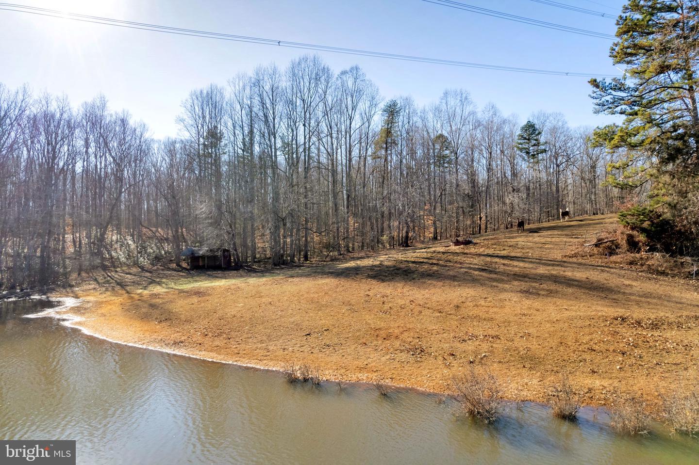 495 DEEPWOOD FARM DR, SCOTTSVILLE, Virginia 24590, 6 Bedrooms Bedrooms, ,4 BathroomsBathrooms,Residential,For Sale,495 DEEPWOOD FARM DR,VAFN2000242 MLS # VAFN2000242 495 DEEPWOOD FARM DR, SCOTTSVILLE, Virginia 24590, 6 Bedrooms Bedrooms, ,4 BathroomsBathrooms,Residential,For Sale,495 DEEPWOOD FARM DR,VAFN2000242 MLS # VAFN2000242