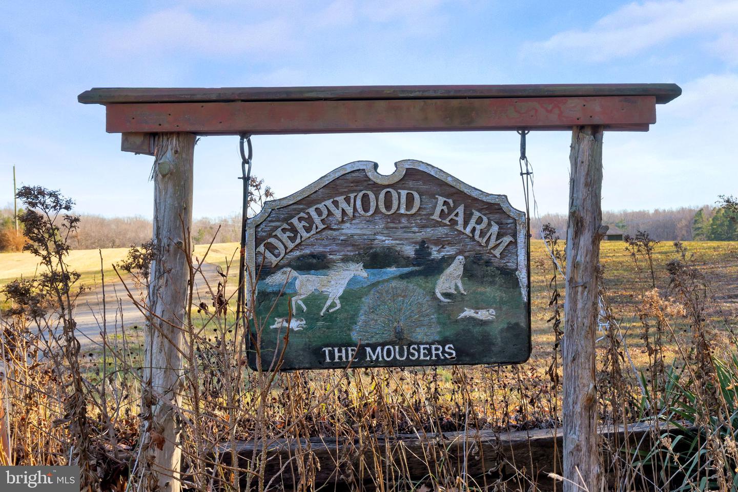 495 DEEPWOOD FARM DR, SCOTTSVILLE, Virginia 24590, 6 Bedrooms Bedrooms, ,4 BathroomsBathrooms,Residential,For Sale,495 DEEPWOOD FARM DR,VAFN2000242 MLS # VAFN2000242 495 DEEPWOOD FARM DR, SCOTTSVILLE, Virginia 24590, 6 Bedrooms Bedrooms, ,4 BathroomsBathrooms,Residential,For Sale,495 DEEPWOOD FARM DR,VAFN2000242 MLS # VAFN2000242