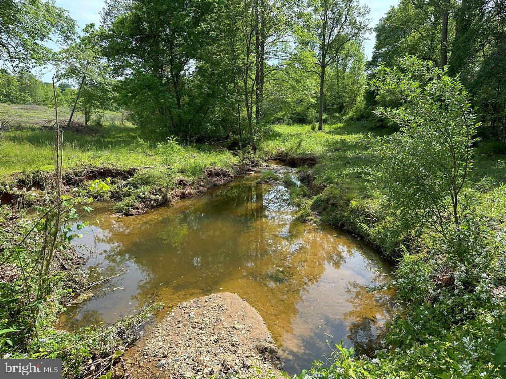 WEST RIVER ROAD (TRACT: C.B. MOON), SCOTTSVILLE, Virginia 24590, ,Farm,For Sale,WEST RIVER ROAD (TRACT: C.B. MOON),VAFN2000382 MLS # VAFN2000382