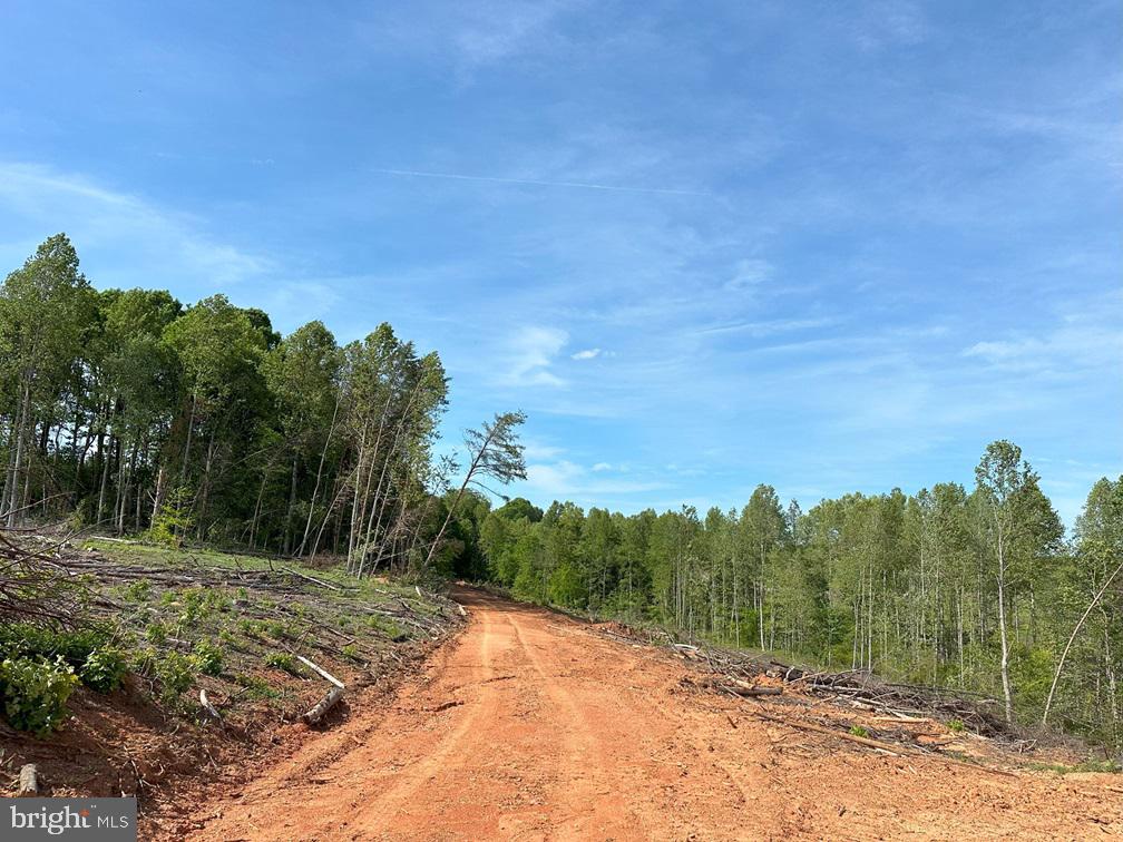 WEST RIVER ROAD (TRACT: C.B. MOON), SCOTTSVILLE, Virginia 24590, ,Farm,For Sale,WEST RIVER ROAD (TRACT: C.B. MOON),VAFN2000382 MLS # VAFN2000382