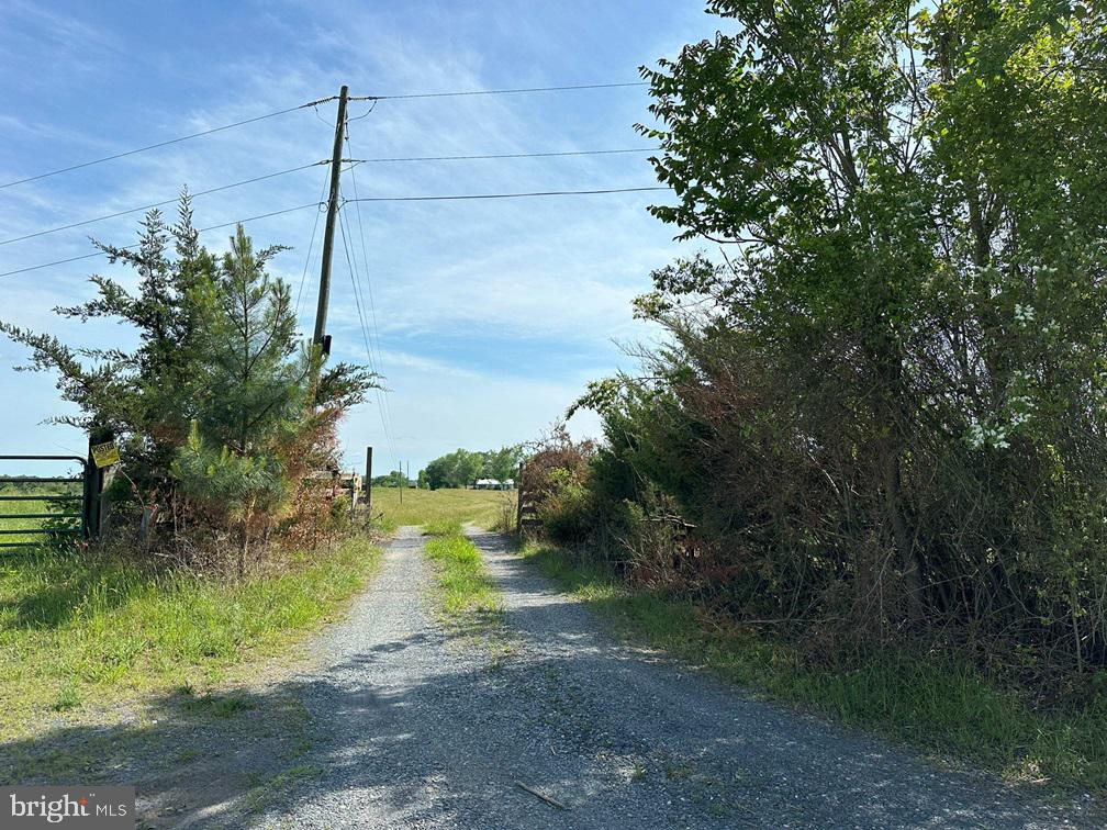 WEST RIVER ROAD (TRACT: C.B. MOON), SCOTTSVILLE, Virginia 24590, ,Farm,For Sale,WEST RIVER ROAD (TRACT: C.B. MOON),VAFN2000382 MLS # VAFN2000382