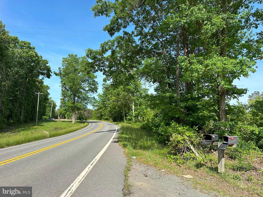 WEST RIVER ROAD (TRACT: C.B. MOON), SCOTTSVILLE, Virginia 24590, ,Farm,For Sale,WEST RIVER ROAD (TRACT: C.B. MOON),VAFN2000382 MLS # VAFN2000382