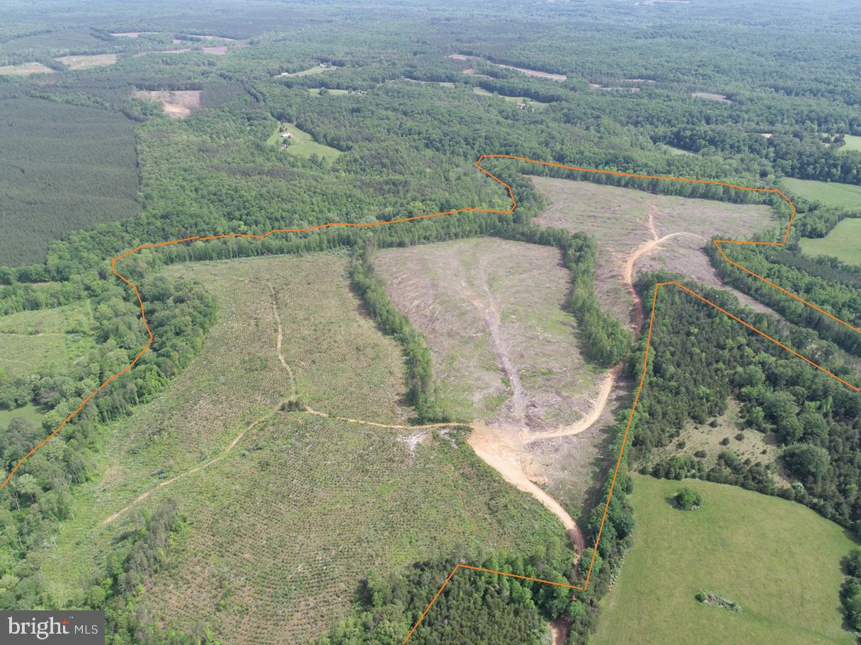 WEST RIVER ROAD (TRACT: C.B. MOON), SCOTTSVILLE, Virginia 24590, ,Farm,For Sale,WEST RIVER ROAD (TRACT: C.B. MOON),VAFN2000382 MLS # VAFN2000382