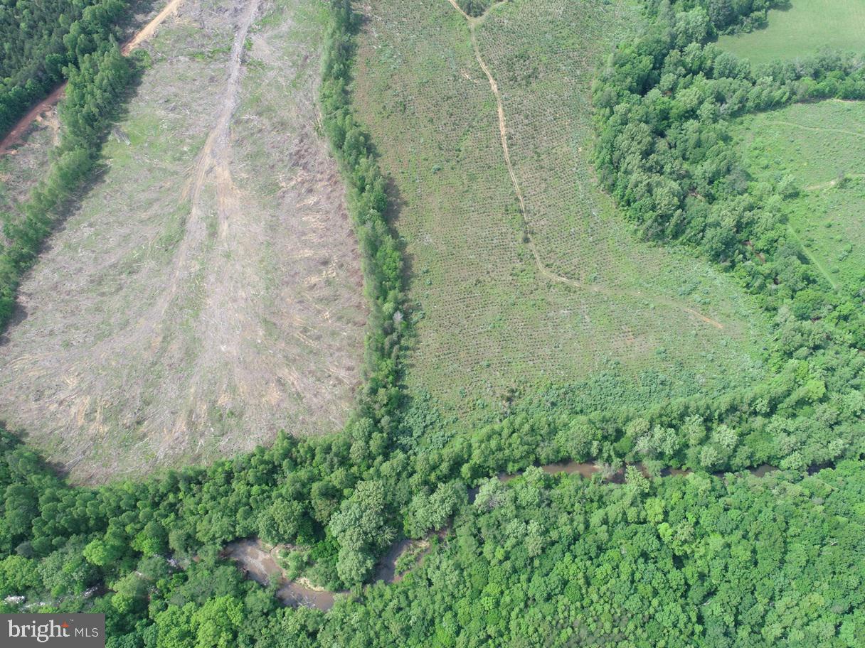 WEST RIVER ROAD (TRACT: C.B. MOON), SCOTTSVILLE, Virginia 24590, ,Farm,For Sale,WEST RIVER ROAD (TRACT: C.B. MOON),VAFN2000382 MLS # VAFN2000382