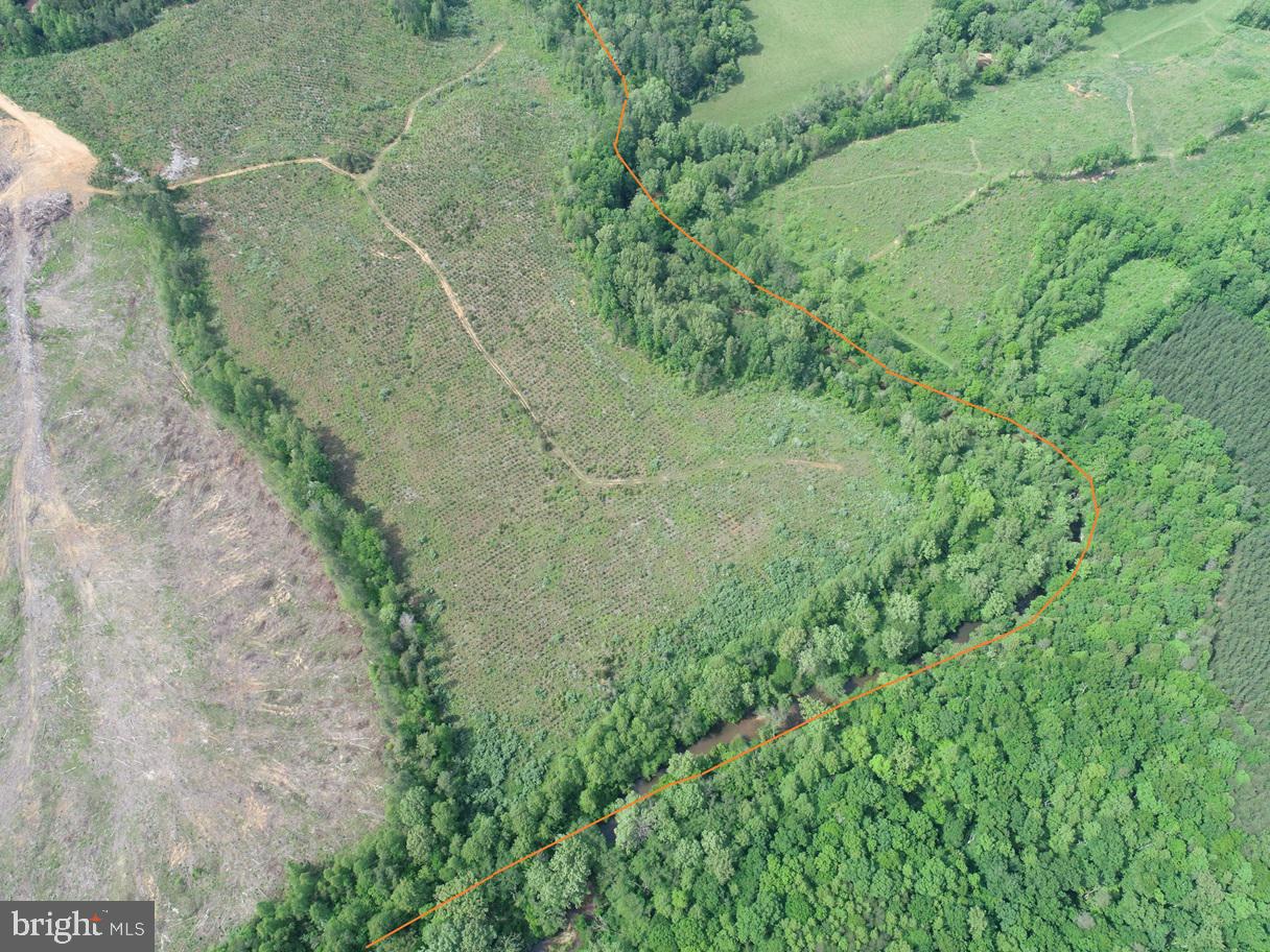 WEST RIVER ROAD (TRACT: C.B. MOON), SCOTTSVILLE, Virginia 24590, ,Farm,For Sale,WEST RIVER ROAD (TRACT: C.B. MOON),VAFN2000382 MLS # VAFN2000382