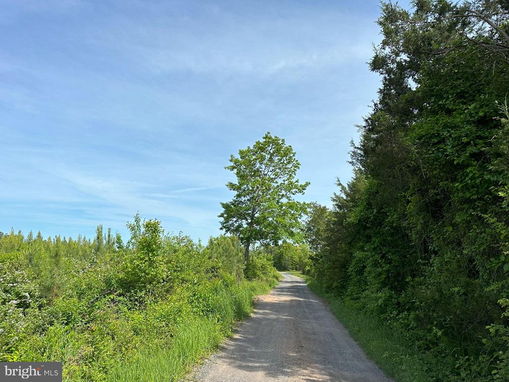 WEST RIVER ROAD (TRACT: C.B. MOON), SCOTTSVILLE, Virginia 24590, ,Farm,For Sale,WEST RIVER ROAD (TRACT: C.B. MOON),VAFN2000382 MLS # VAFN2000382