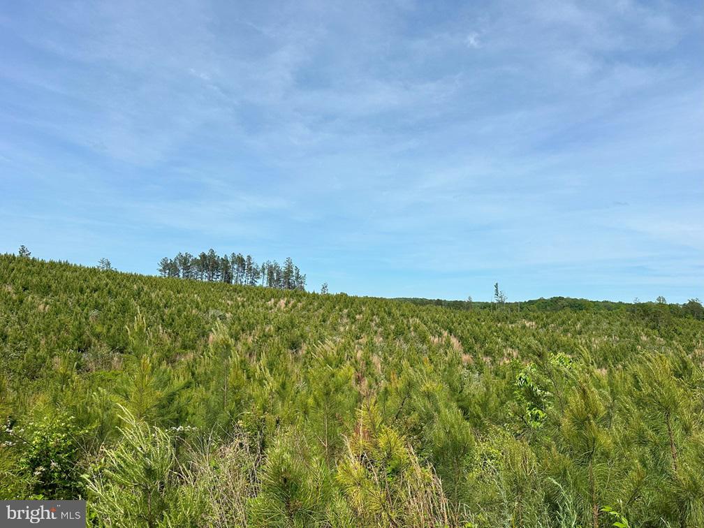 WEST RIVER ROAD (TRACT: C.B. MOON), SCOTTSVILLE, Virginia 24590, ,Farm,For Sale,WEST RIVER ROAD (TRACT: C.B. MOON),VAFN2000382 MLS # VAFN2000382