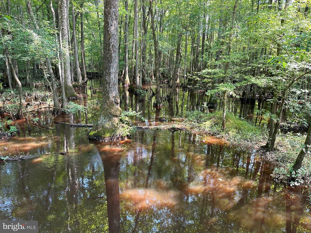 PLANK ROAD (TRACT: CHESAPEAKE SOUTHAMPTON 2), COURTLAND, Virginia 23837, ,Farm,For Sale,PLANK ROAD (TRACT: CHESAPEAKE SOUTHAMPTON 2),VASU2000020 MLS # VASU2000020 PLANK ROAD (TRACT: CHESAPEAKE SOUTHAMPTON 2), COURTLAND, Virginia 23837, ,Farm,For Sale,PLANK ROAD (TRACT: CHESAPEAKE SOUTHAMPTON 2),VASU2000020 MLS # VASU2000020
