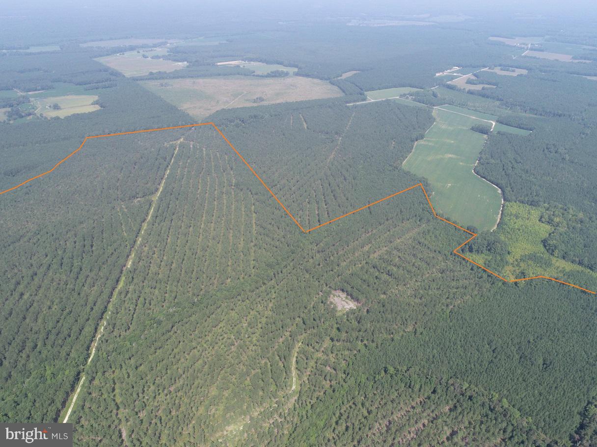 PLANK ROAD (TRACT: CHESAPEAKE SOUTHAMPTON 2), COURTLAND, Virginia 23837, ,Farm,For Sale,PLANK ROAD (TRACT: CHESAPEAKE SOUTHAMPTON 2),VASU2000020 MLS # VASU2000020 PLANK ROAD (TRACT: CHESAPEAKE SOUTHAMPTON 2), COURTLAND, Virginia 23837, ,Farm,For Sale,PLANK ROAD (TRACT: CHESAPEAKE SOUTHAMPTON 2),VASU2000020 MLS # VASU2000020