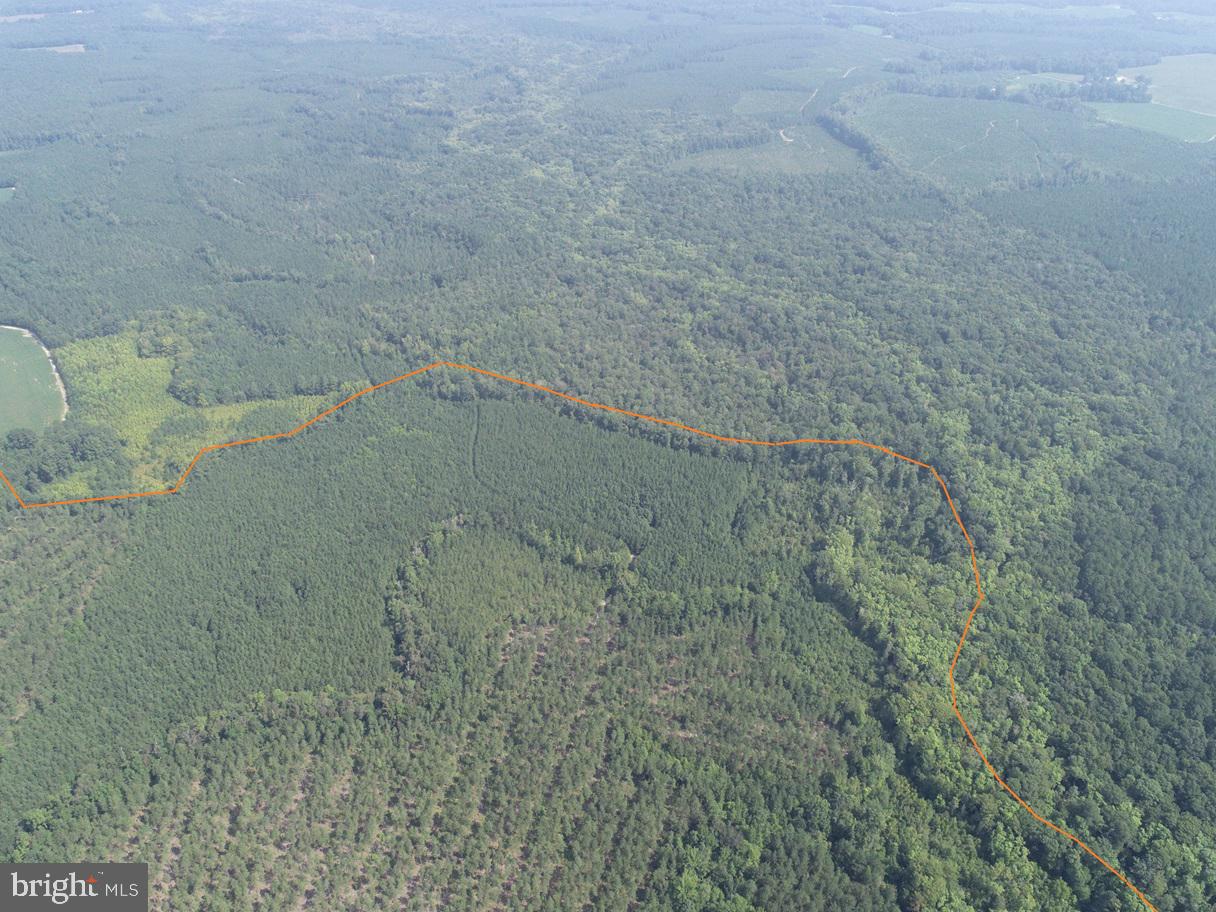 PLANK ROAD (TRACT: CHESAPEAKE SOUTHAMPTON 2), COURTLAND, Virginia 23837, ,Farm,For Sale,PLANK ROAD (TRACT: CHESAPEAKE SOUTHAMPTON 2),VASU2000020 MLS # VASU2000020 PLANK ROAD (TRACT: CHESAPEAKE SOUTHAMPTON 2), COURTLAND, Virginia 23837, ,Farm,For Sale,PLANK ROAD (TRACT: CHESAPEAKE SOUTHAMPTON 2),VASU2000020 MLS # VASU2000020