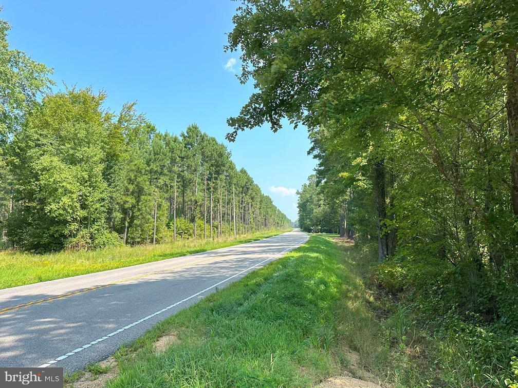 PLANK ROAD (TRACT: CHESAPEAKE SOUTHAMPTON 2), COURTLAND, Virginia 23837, ,Farm,For Sale,PLANK ROAD (TRACT: CHESAPEAKE SOUTHAMPTON 2),VASU2000020 MLS # VASU2000020 PLANK ROAD (TRACT: CHESAPEAKE SOUTHAMPTON 2), COURTLAND, Virginia 23837, ,Farm,For Sale,PLANK ROAD (TRACT: CHESAPEAKE SOUTHAMPTON 2),VASU2000020 MLS # VASU2000020