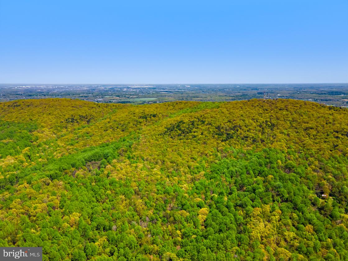 BULL RUN MOUNTAIN RD, THE PLAINS, Virginia 20198, ,Farm,For Sale,BULL RUN MOUNTAIN RD,VAFQ2015088 MLS # VAFQ2015088 BULL RUN MOUNTAIN RD, THE PLAINS, Virginia 20198, ,Farm,For Sale,BULL RUN MOUNTAIN RD,VAFQ2015088 MLS # VAFQ2015088
