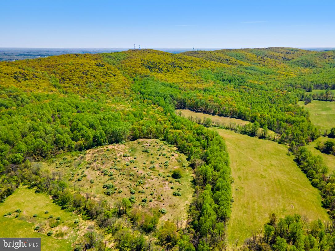 BULL RUN MOUNTAIN RD, THE PLAINS, Virginia 20198, ,Farm,For Sale,BULL RUN MOUNTAIN RD,VAFQ2015088 MLS # VAFQ2015088 BULL RUN MOUNTAIN RD, THE PLAINS, Virginia 20198, ,Farm,For Sale,BULL RUN MOUNTAIN RD,VAFQ2015088 MLS # VAFQ2015088
