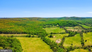 BULL RUN MOUNTAIN RD THE PLAINS Virginia 20198