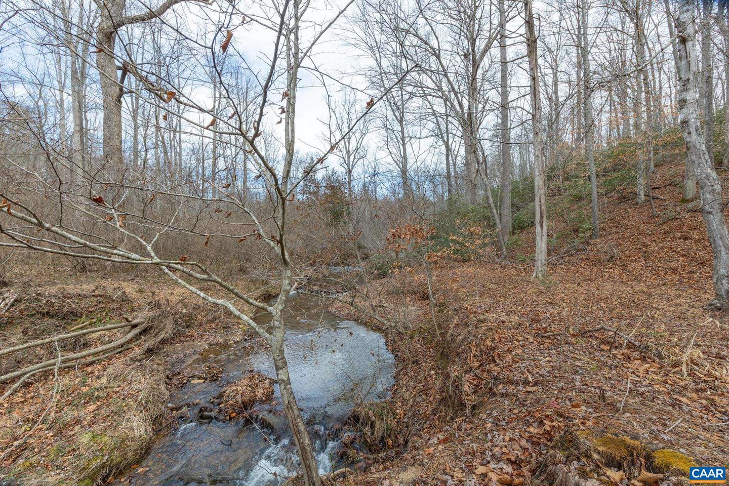 7676 OLD DOMINION RD, SCHUYLER, Virginia 22969, ,Land,For Sale,7676 OLD DOMINION RD,659906 MLS # 659906