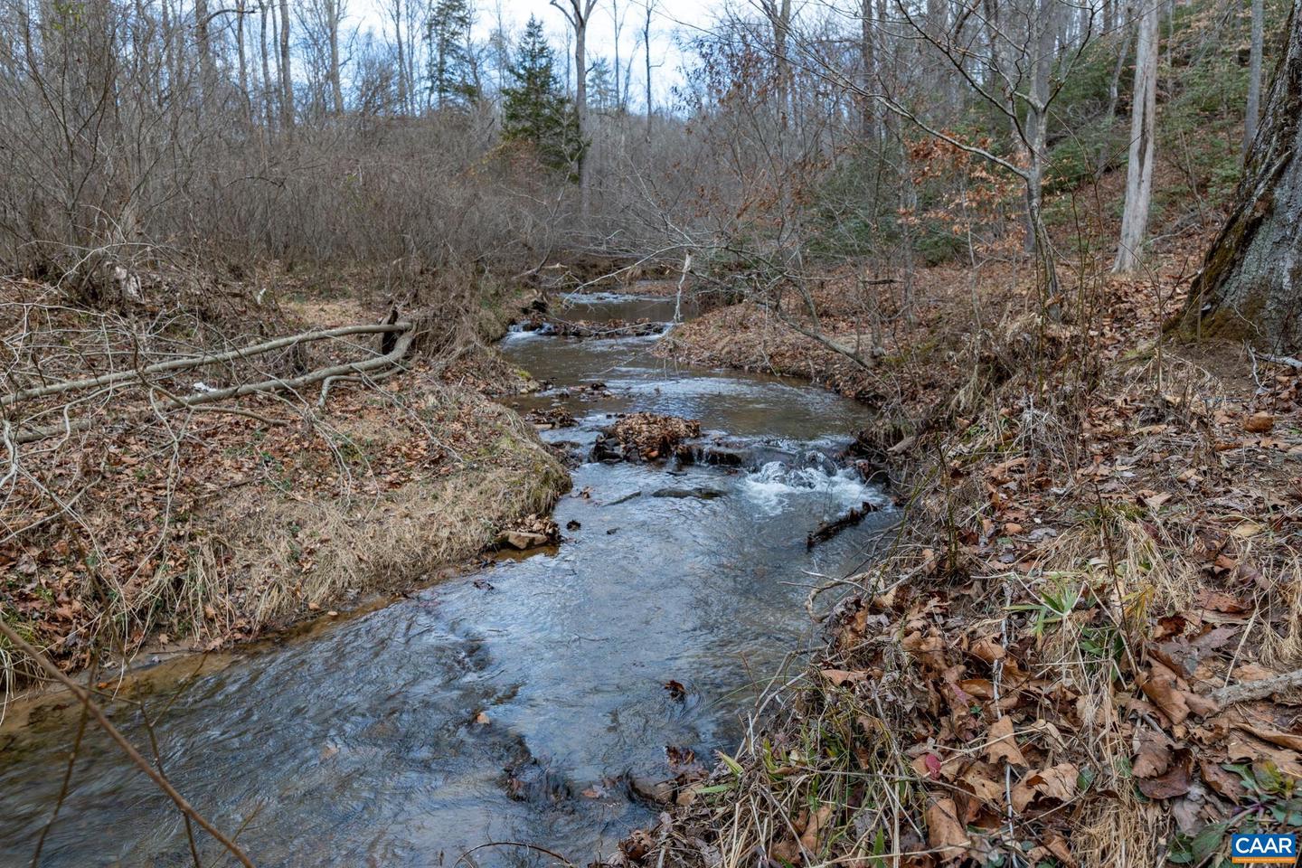 7676 OLD DOMINION RD, SCHUYLER, Virginia 22969, ,Land,For Sale,7676 OLD DOMINION RD,659906 MLS # 659906