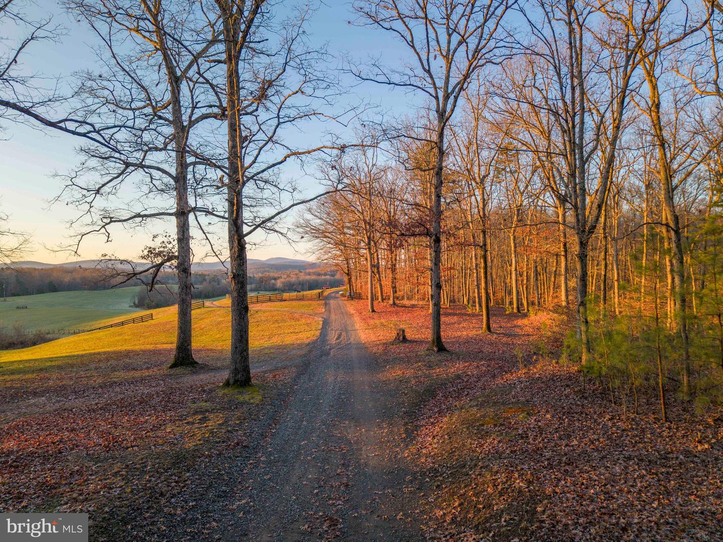 2427 BLUE RIDGE TPKE S, ROCHELLE, Virginia 22738, 4 Bedrooms Bedrooms, ,3 BathroomsBathrooms,Farm,For Sale,2427 BLUE RIDGE TPKE S,VAMA2002016 MLS # VAMA2002016 2427 BLUE RIDGE TPKE S, ROCHELLE, Virginia 22738, 4 Bedrooms Bedrooms, ,3 BathroomsBathrooms,Farm,For Sale,2427 BLUE RIDGE TPKE S,VAMA2002016 MLS # VAMA2002016