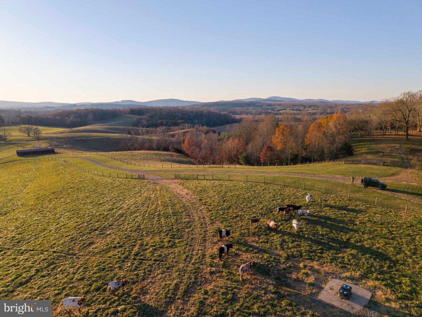 2427 BLUE RIDGE TPKE S, ROCHELLE, Virginia 22738, 4 Bedrooms Bedrooms, ,3 BathroomsBathrooms,Farm,For Sale,2427 BLUE RIDGE TPKE S,VAMA2002016 MLS # VAMA2002016 2427 BLUE RIDGE TPKE S, ROCHELLE, Virginia 22738, 4 Bedrooms Bedrooms, ,3 BathroomsBathrooms,Farm,For Sale,2427 BLUE RIDGE TPKE S,VAMA2002016 MLS # VAMA2002016