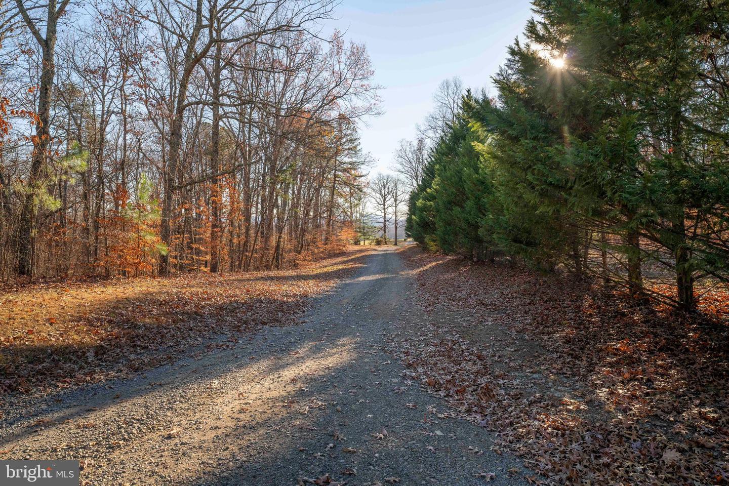 2427 BLUE RIDGE TPKE S, ROCHELLE, Virginia 22738, 4 Bedrooms Bedrooms, ,3 BathroomsBathrooms,Farm,For Sale,2427 BLUE RIDGE TPKE S,VAMA2002016 MLS # VAMA2002016 2427 BLUE RIDGE TPKE S, ROCHELLE, Virginia 22738, 4 Bedrooms Bedrooms, ,3 BathroomsBathrooms,Farm,For Sale,2427 BLUE RIDGE TPKE S,VAMA2002016 MLS # VAMA2002016