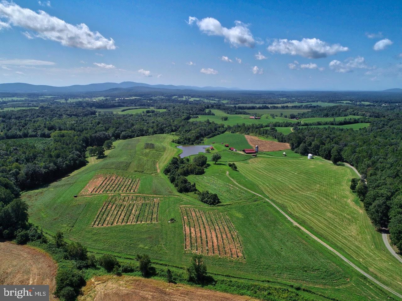 2427 BLUE RIDGE TPKE S, ROCHELLE, Virginia 22738, 4 Bedrooms Bedrooms, ,3 BathroomsBathrooms,Farm,For Sale,2427 BLUE RIDGE TPKE S,VAMA2002016 MLS # VAMA2002016 2427 BLUE RIDGE TPKE S, ROCHELLE, Virginia 22738, 4 Bedrooms Bedrooms, ,3 BathroomsBathrooms,Farm,For Sale,2427 BLUE RIDGE TPKE S,VAMA2002016 MLS # VAMA2002016