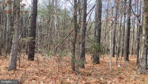 SHENANDOAH PATH CATLETT Virginia 20119