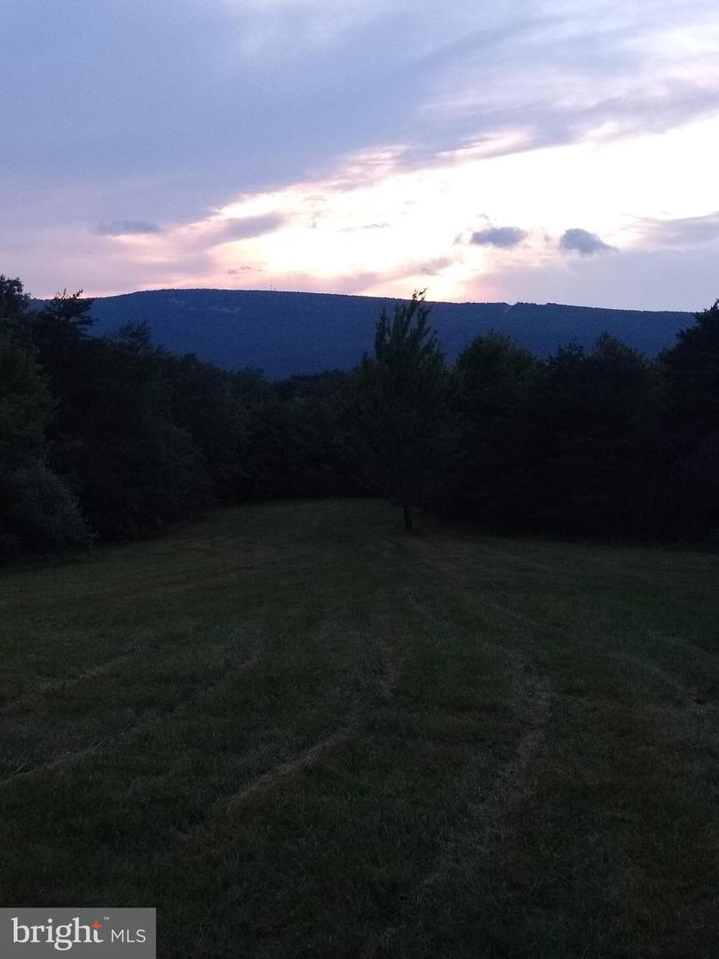 WARDENSVILLE GRADE #LOT 4, WINCHESTER, Virginia 22602, ,Farm,For Sale,WARDENSVILLE GRADE #LOT 4,VAFV2023748 MLS # VAFV2023748 WARDENSVILLE GRADE #LOT 4, WINCHESTER, Virginia 22602, ,Farm,For Sale,WARDENSVILLE GRADE #LOT 4,VAFV2023748 MLS # VAFV2023748
