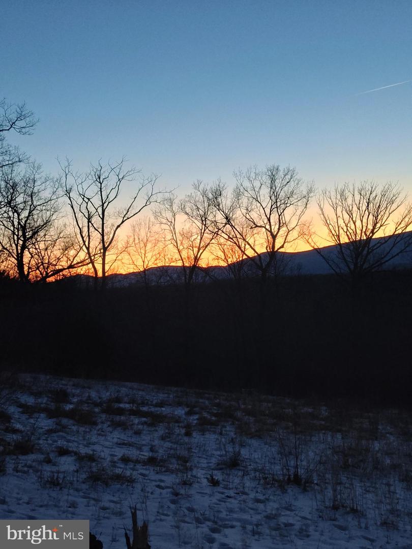 WARDENSVILLE GRADE #LOT 4, WINCHESTER, Virginia 22602, ,Farm,For Sale,WARDENSVILLE GRADE #LOT 4,VAFV2023748 MLS # VAFV2023748 WARDENSVILLE GRADE #LOT 4, WINCHESTER, Virginia 22602, ,Farm,For Sale,WARDENSVILLE GRADE #LOT 4,VAFV2023748 MLS # VAFV2023748