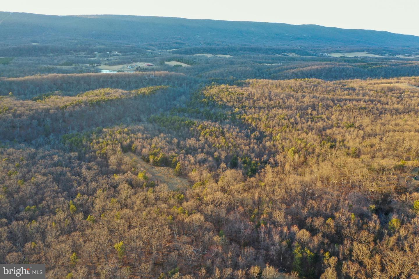 WARDENSVILLE GRADE #LOT 4, WINCHESTER, Virginia 22602, ,Farm,For Sale,WARDENSVILLE GRADE #LOT 4,VAFV2023748 MLS # VAFV2023748 WARDENSVILLE GRADE #LOT 4, WINCHESTER, Virginia 22602, ,Farm,For Sale,WARDENSVILLE GRADE #LOT 4,VAFV2023748 MLS # VAFV2023748