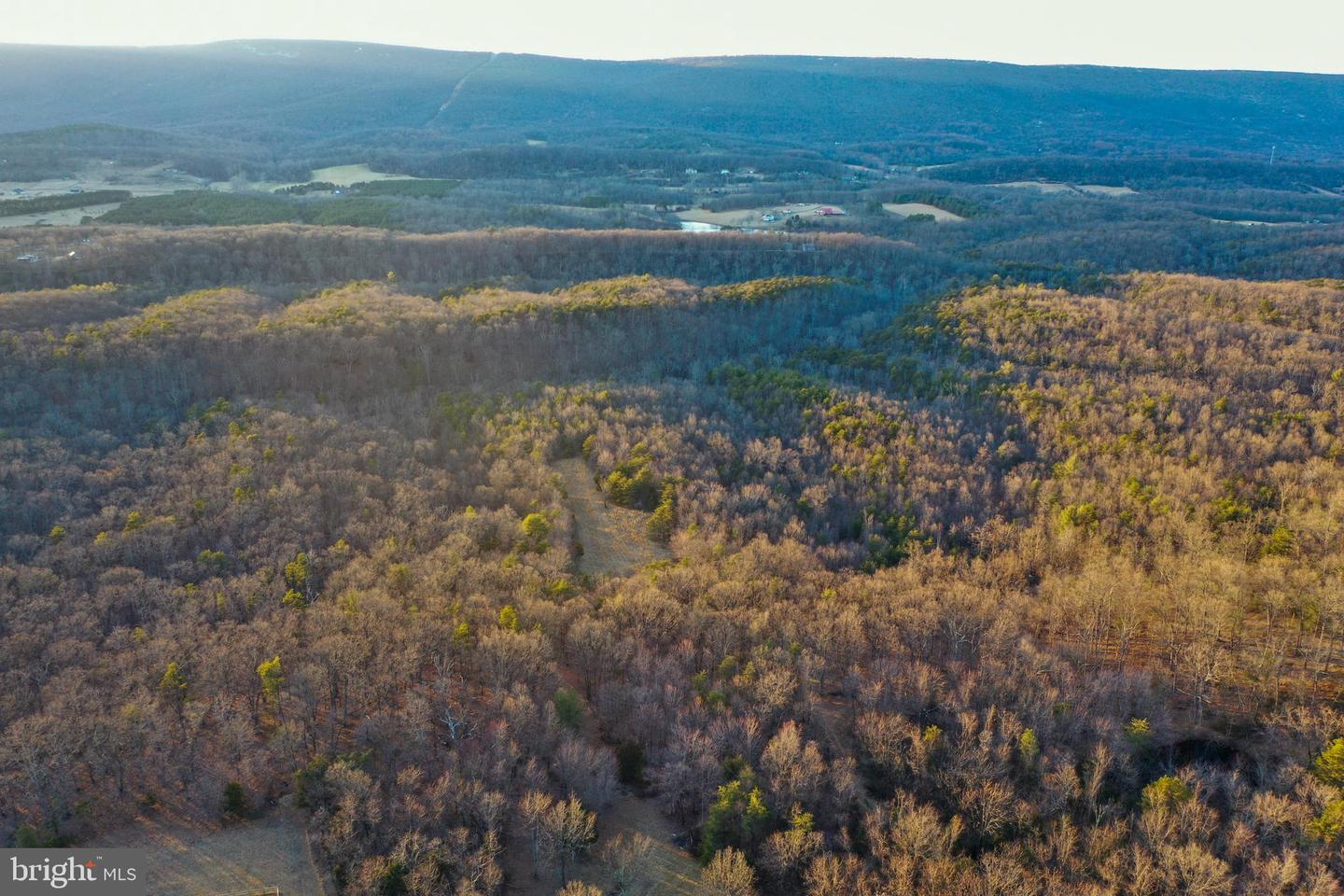 WARDENSVILLE GRADE #LOT 4, WINCHESTER, Virginia 22602, ,Farm,For Sale,WARDENSVILLE GRADE #LOT 4,VAFV2023748 MLS # VAFV2023748 WARDENSVILLE GRADE #LOT 4, WINCHESTER, Virginia 22602, ,Farm,For Sale,WARDENSVILLE GRADE #LOT 4,VAFV2023748 MLS # VAFV2023748