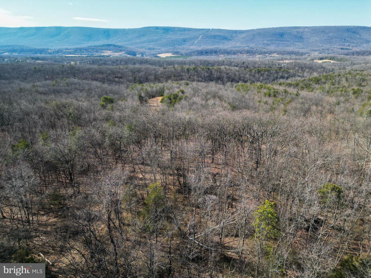 WARDENSVILLE GRADE #LOT 4, WINCHESTER, Virginia 22602, ,Farm,For Sale,WARDENSVILLE GRADE #LOT 4,VAFV2023748 MLS # VAFV2023748 WARDENSVILLE GRADE #LOT 4, WINCHESTER, Virginia 22602, ,Farm,For Sale,WARDENSVILLE GRADE #LOT 4,VAFV2023748 MLS # VAFV2023748