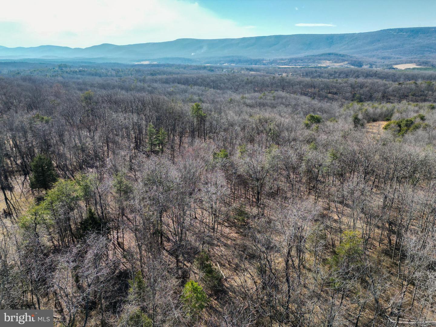 WARDENSVILLE GRADE #LOT 4, WINCHESTER, Virginia 22602, ,Farm,For Sale,WARDENSVILLE GRADE #LOT 4,VAFV2023748 MLS # VAFV2023748 WARDENSVILLE GRADE #LOT 4, WINCHESTER, Virginia 22602, ,Farm,For Sale,WARDENSVILLE GRADE #LOT 4,VAFV2023748 MLS # VAFV2023748