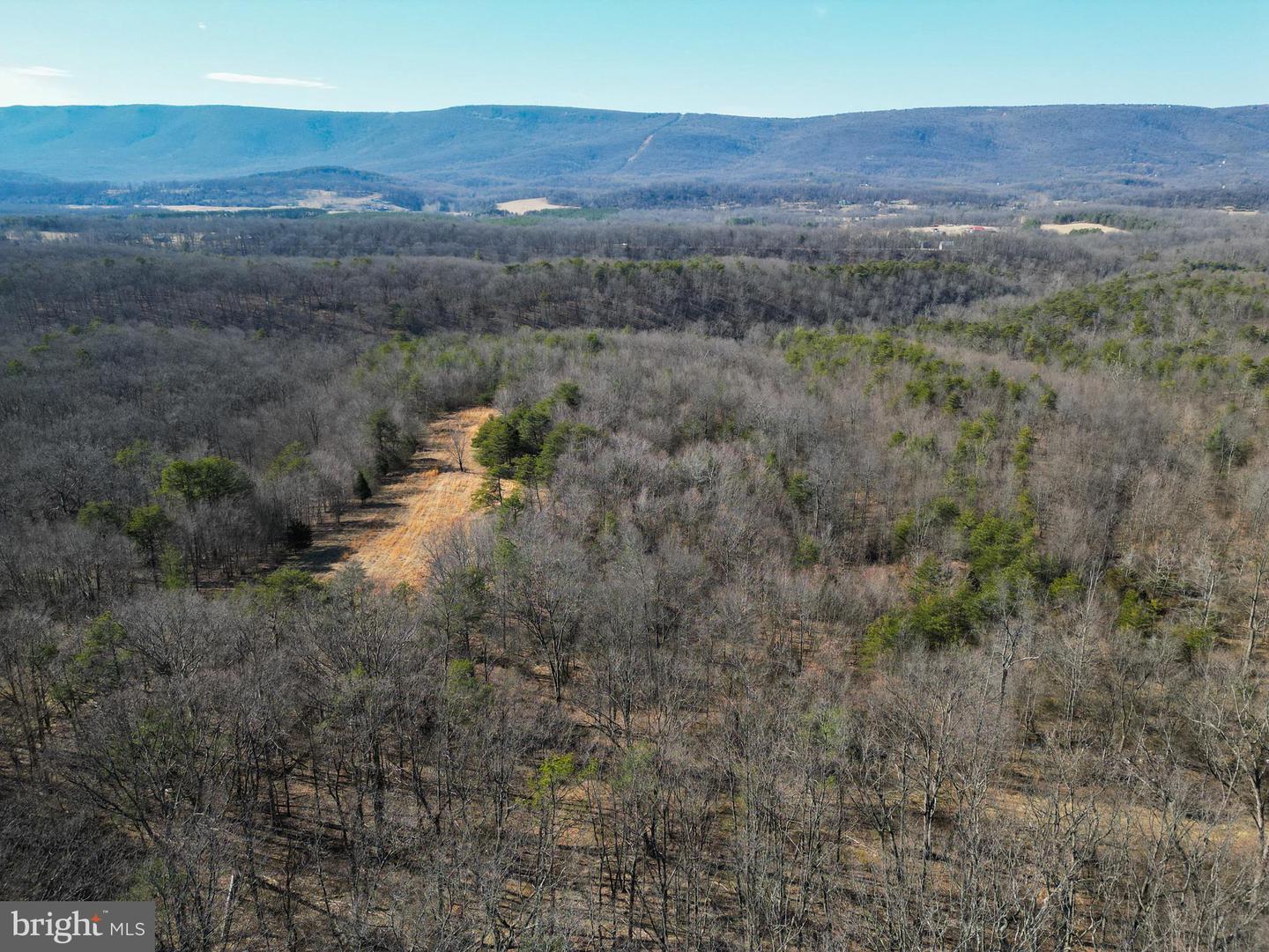 WARDENSVILLE GRADE #LOT 4, WINCHESTER, Virginia 22602, ,Farm,For Sale,WARDENSVILLE GRADE #LOT 4,VAFV2023748 MLS # VAFV2023748 WARDENSVILLE GRADE #LOT 4, WINCHESTER, Virginia 22602, ,Farm,For Sale,WARDENSVILLE GRADE #LOT 4,VAFV2023748 MLS # VAFV2023748