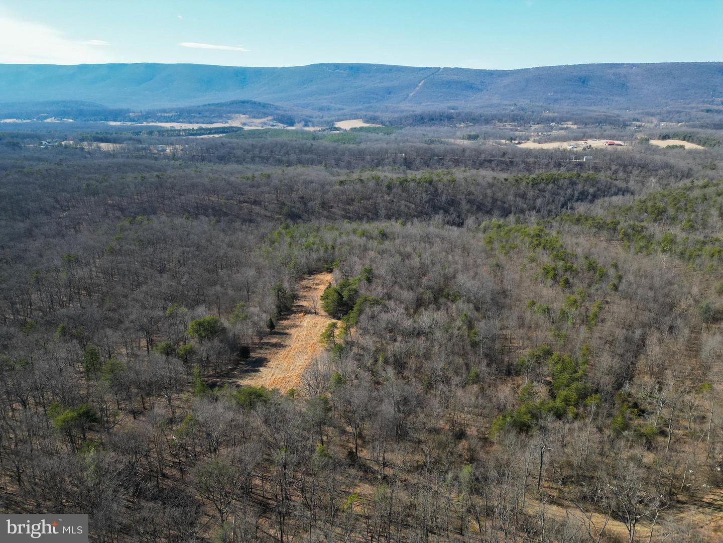 WARDENSVILLE GRADE #LOT 4, WINCHESTER, Virginia 22602, ,Farm,For Sale,WARDENSVILLE GRADE #LOT 4,VAFV2023748 MLS # VAFV2023748 WARDENSVILLE GRADE #LOT 4, WINCHESTER, Virginia 22602, ,Farm,For Sale,WARDENSVILLE GRADE #LOT 4,VAFV2023748 MLS # VAFV2023748