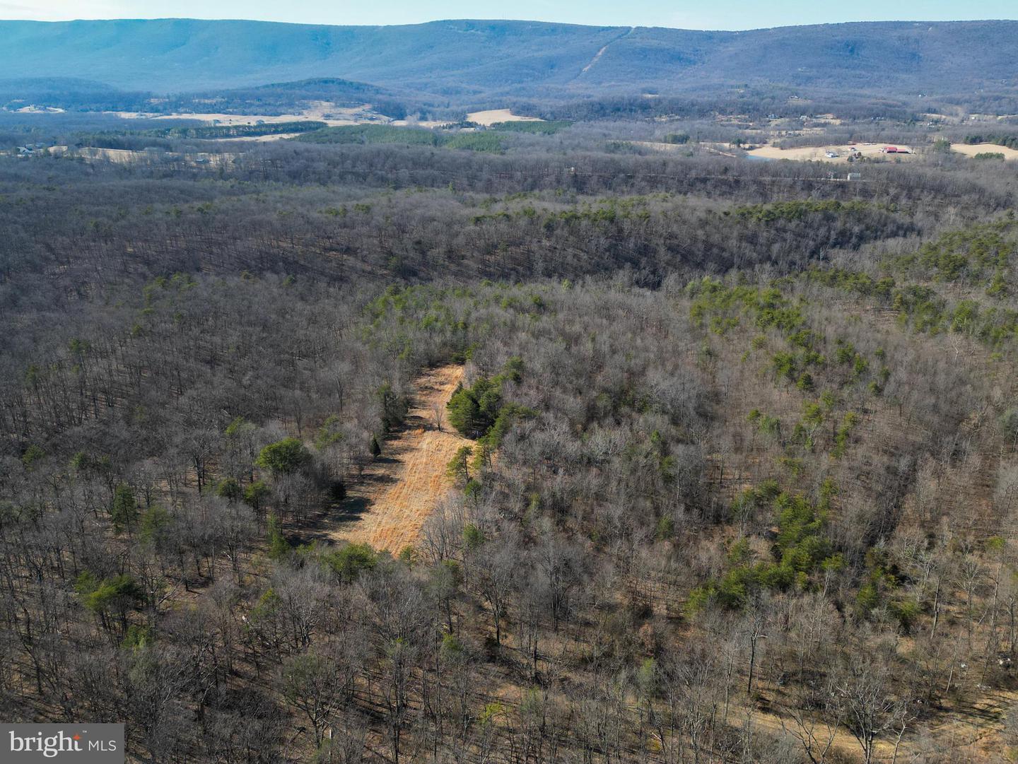 WARDENSVILLE GRADE #LOT 4, WINCHESTER, Virginia 22602, ,Farm,For Sale,WARDENSVILLE GRADE #LOT 4,VAFV2023748 MLS # VAFV2023748 WARDENSVILLE GRADE #LOT 4, WINCHESTER, Virginia 22602, ,Farm,For Sale,WARDENSVILLE GRADE #LOT 4,VAFV2023748 MLS # VAFV2023748
