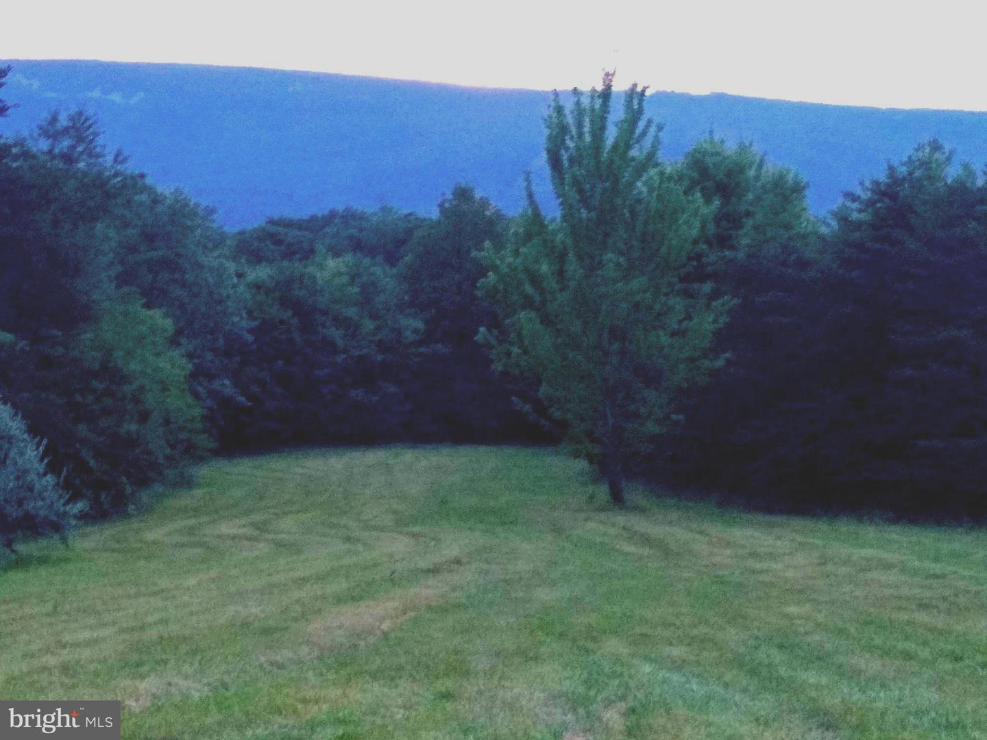 WARDENSVILLE GRADE #LOT 4, WINCHESTER, Virginia 22602, ,Farm,For Sale,WARDENSVILLE GRADE #LOT 4,VAFV2023748 MLS # VAFV2023748 WARDENSVILLE GRADE #LOT 4, WINCHESTER, Virginia 22602, ,Farm,For Sale,WARDENSVILLE GRADE #LOT 4,VAFV2023748 MLS # VAFV2023748