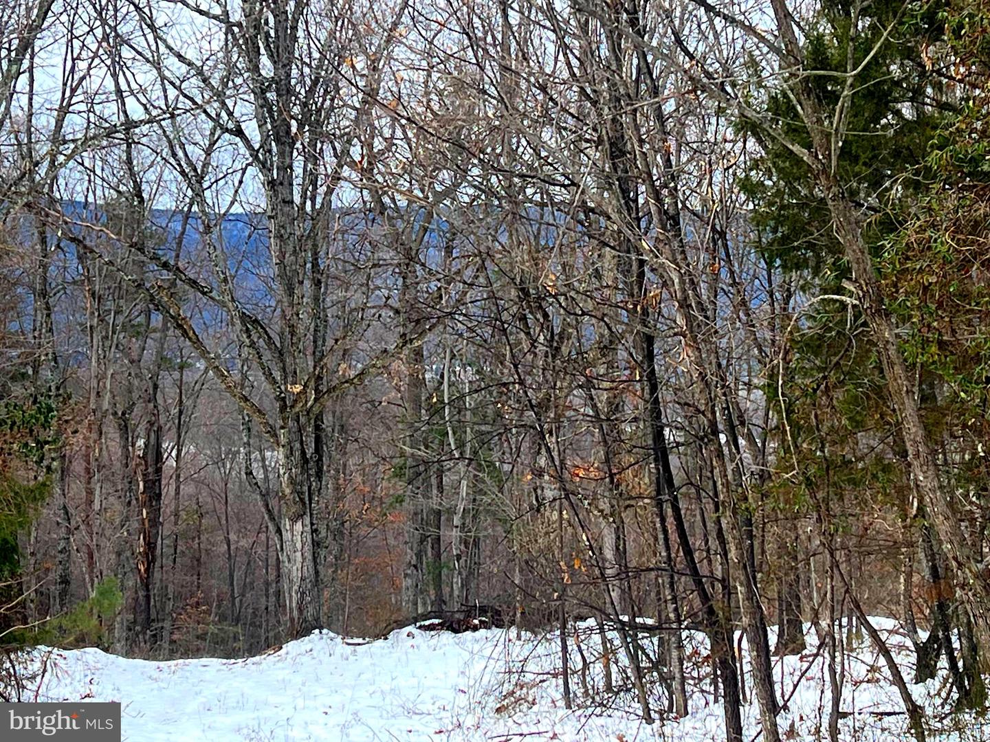WARDENSVILLE GRADE #LOT 4, WINCHESTER, Virginia 22602, ,Farm,For Sale,WARDENSVILLE GRADE #LOT 4,VAFV2023748 MLS # VAFV2023748 WARDENSVILLE GRADE #LOT 4, WINCHESTER, Virginia 22602, ,Farm,For Sale,WARDENSVILLE GRADE #LOT 4,VAFV2023748 MLS # VAFV2023748