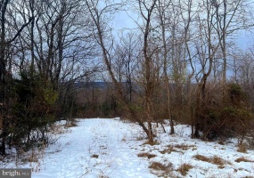 WARDENSVILLE GRADE #LOT 4, WINCHESTER, Virginia 22602, ,Farm,For Sale,WARDENSVILLE GRADE #LOT 4,VAFV2023748 MLS # VAFV2023748 WARDENSVILLE GRADE #LOT 4, WINCHESTER, Virginia 22602, ,Farm,For Sale,WARDENSVILLE GRADE #LOT 4,VAFV2023748 MLS # VAFV2023748