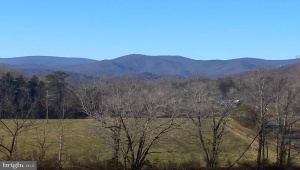 DUET RD, MADISON, Virginia 22727, ,Farm,14,DUET RD,VAMA2001418 MLS # VAMA2001418