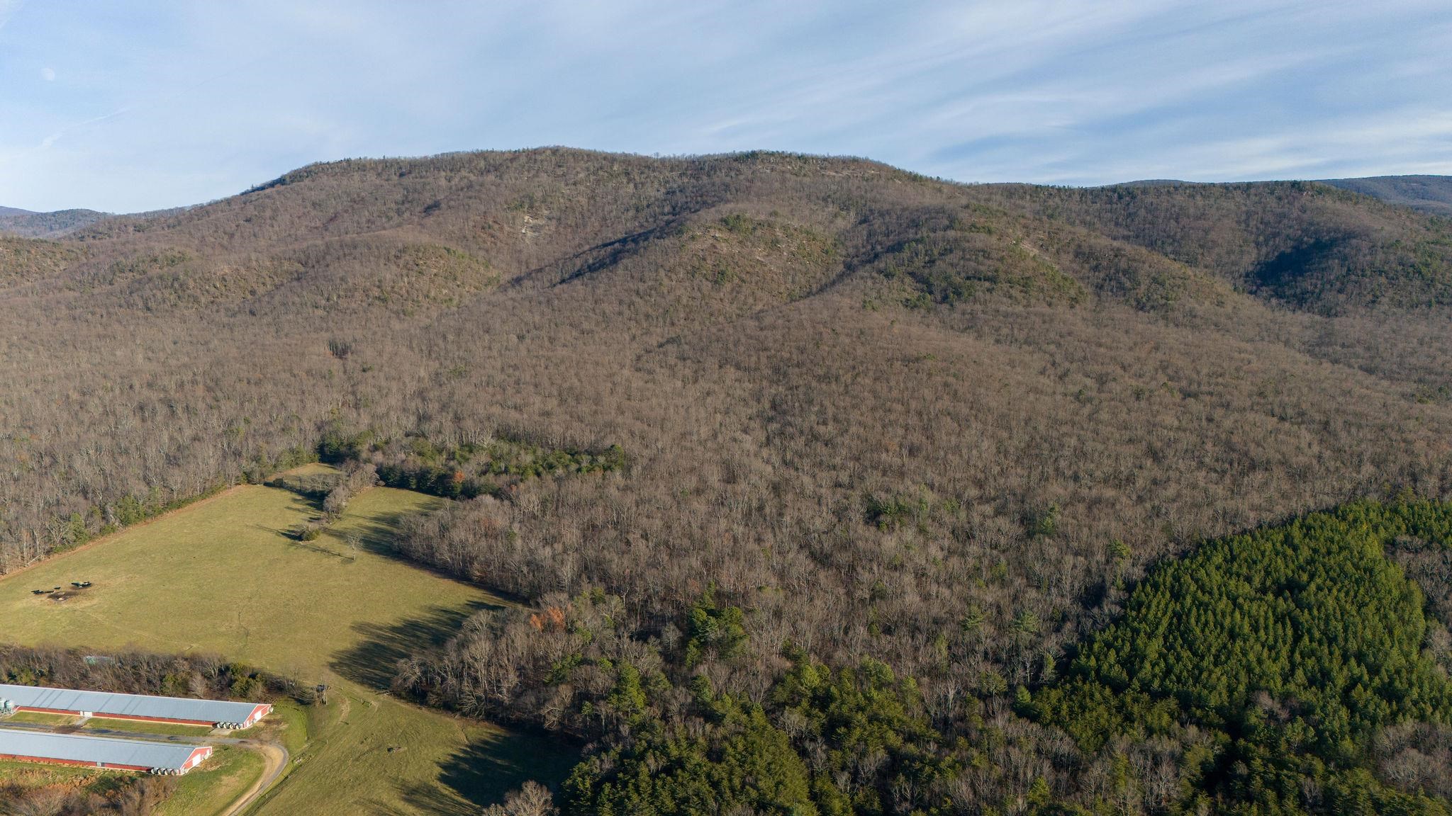 TBD ROCK MOUNTAIN LN, GROTTOES, Virginia 24441, ,Land,14,TBD ROCK MOUNTAIN LN,659520 MLS # 659520 TBD ROCK MOUNTAIN LN, GROTTOES, Virginia 24441, ,Land,14,TBD ROCK MOUNTAIN LN,659520 MLS # 659520