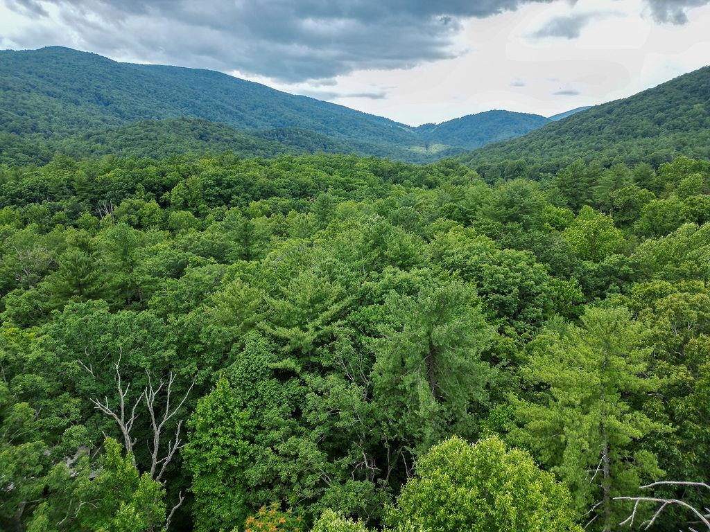 TBD SUGAR RIDGE RD, CROZET, Virginia 22932, ,Land,14,TBD SUGAR RIDGE RD,655231 MLS # 655231